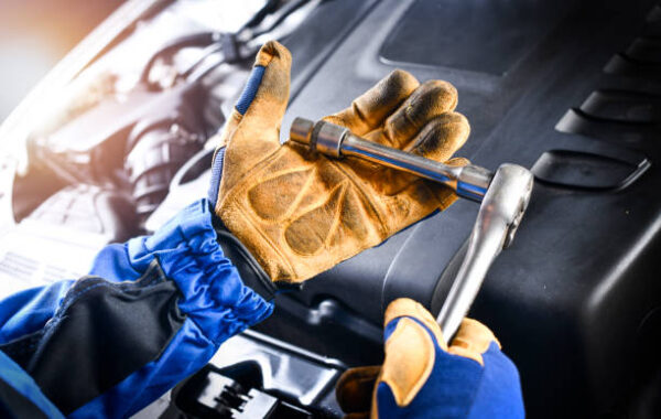Istockphoto 1407081731 612x612