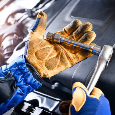 Istockphoto 1407081731 612x612